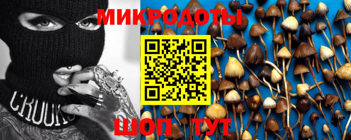 где купить   Вход с VPN  Белореченск  Галлюциногенные грибы прущие грибы 